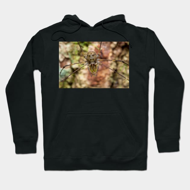 Unique and organic photo of a harvestman Hoodie by AvonPerception